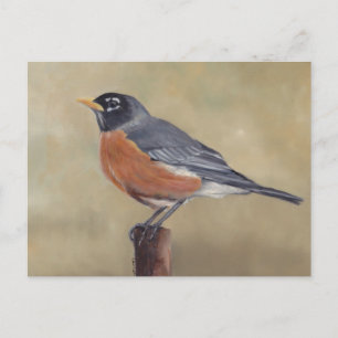 Robin Bird Art Postcard Postkarte
