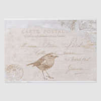 Robin Bird Carte Postale Französisch Decoupage Blu