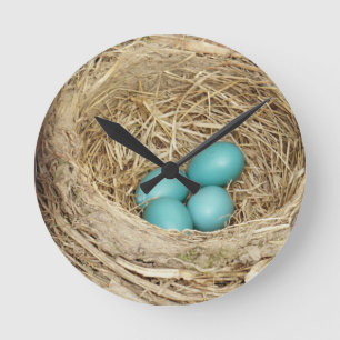 Robin Bird Egg Nest Runde Wanduhr