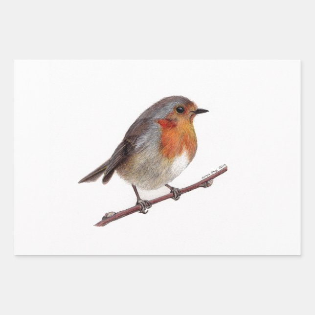 Robin Bird (Erithacus Rubecula) Packpapier Geschenkpapier Set (Vorderseite)