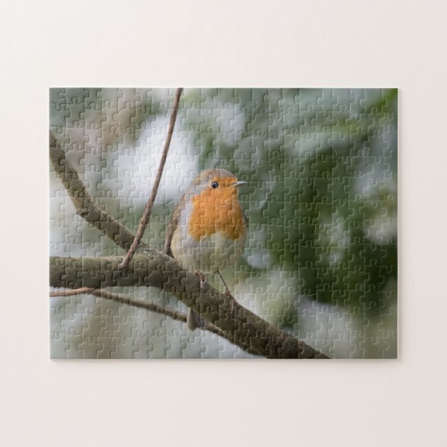 Robin Bird Nature Foto Jigsaw Puzzle (Horizontal)