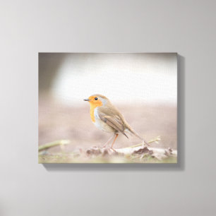 Robin Bird Nature Foto Leinwanddruck