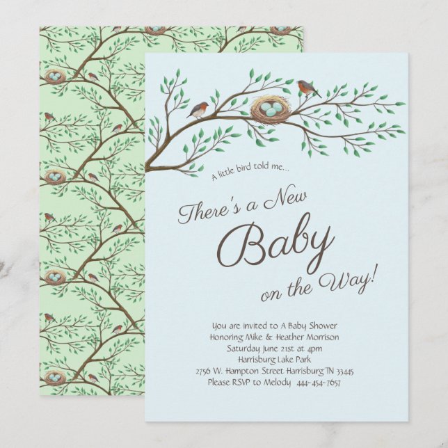 Robin Bird Spring Baby Shower Co-Ed Gender Neutral Einladung (Vorne/Hinten)