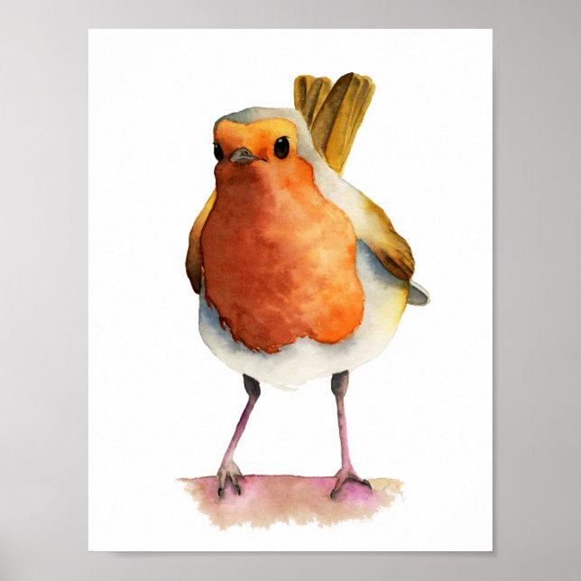 Robin Bird Watercolor Painting Poster (Vorne)