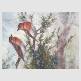 Robin Birds Artistic Decoupage Tissue Paper Seidenpapier