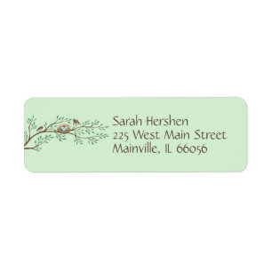 Robin Birds Nest Eggs Spring Baby Dusche