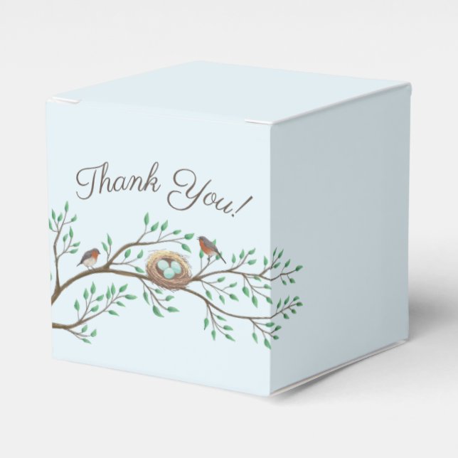 Robin Birds Nest Eggs Spring Baby Dusche Geschenkschachtel (Vorderseite)