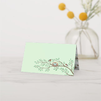 Robin Birds Nest Eggs Spring Baby Dusche Platzkarte