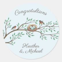 Robin Birds Nest Eggs Spring Baby Dusche