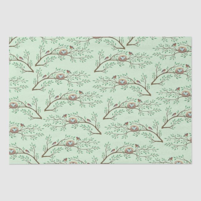 Robin Birds Nest Eggs Spring Baby Dusche Seidenpapier (Vorderseite)