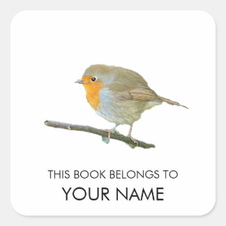 Robin Book Sticker