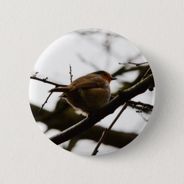 Robin Button (Vorderseite)