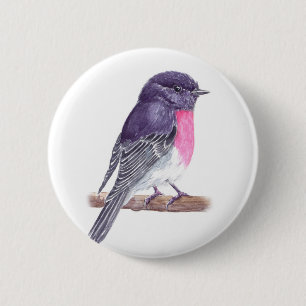 Robin Button