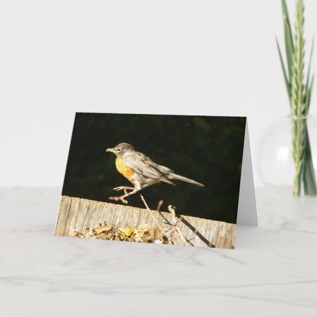 Robin Card Karte (Vorderseite)