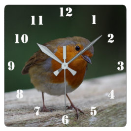 Robin Clock Quadratische Wanduhr