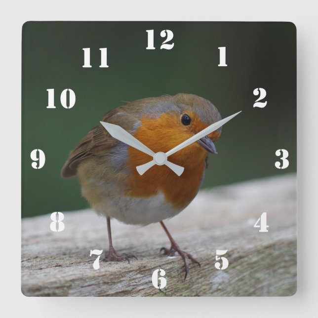 Robin Clock Quadratische Wanduhr (Vorderseite)