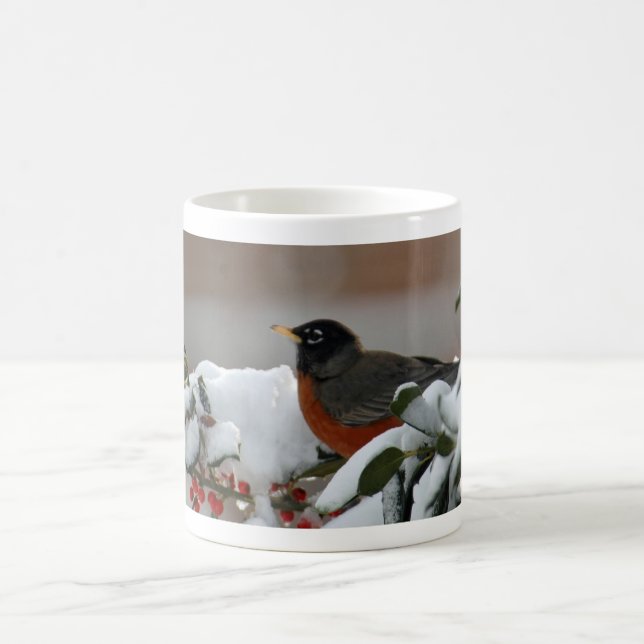 Robin dans la tasse de neige (Centre)