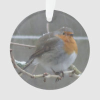 Robin dans l'ornement de neige