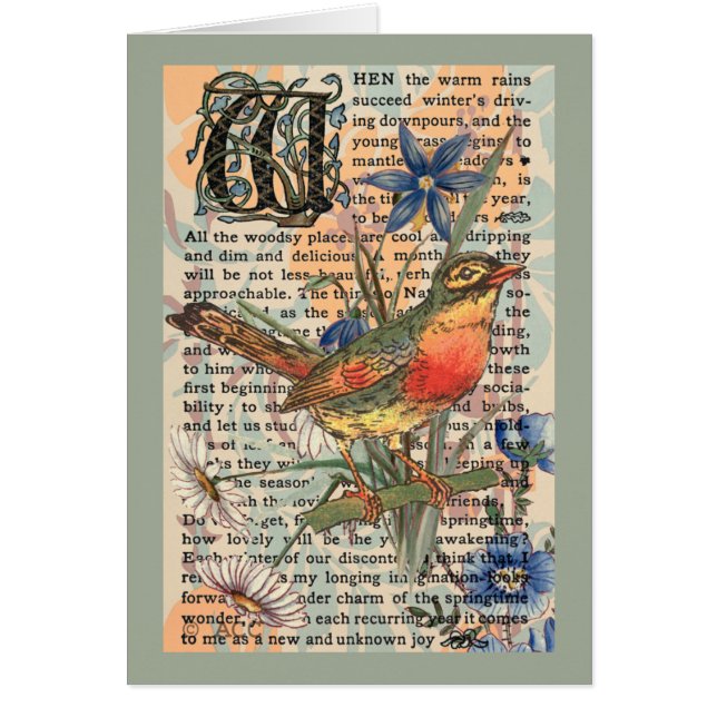 Robin de ressort (Devant)