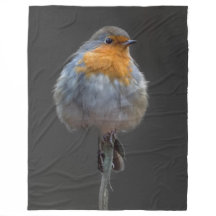 Robin-Decke