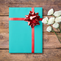 Robin Egg Blue Solid Color | Classic | elegant