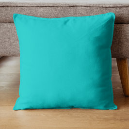 Robin Egg Blue Solid Color | Classic | elegant Kissen