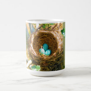 Robin eggs unhatched in einem Hinterhofbaumnest Kaffeetasse