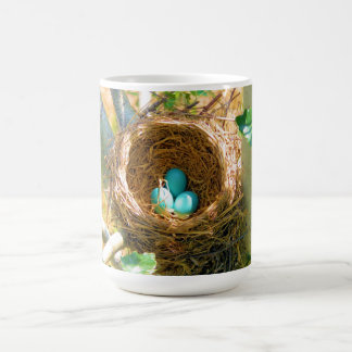 Robin eggs unhatched in einem Hinterhofbaumnest Kaffeetasse