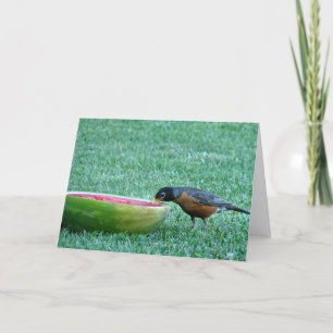 Robin Enjoys Watermelon, 4. Juli Karte