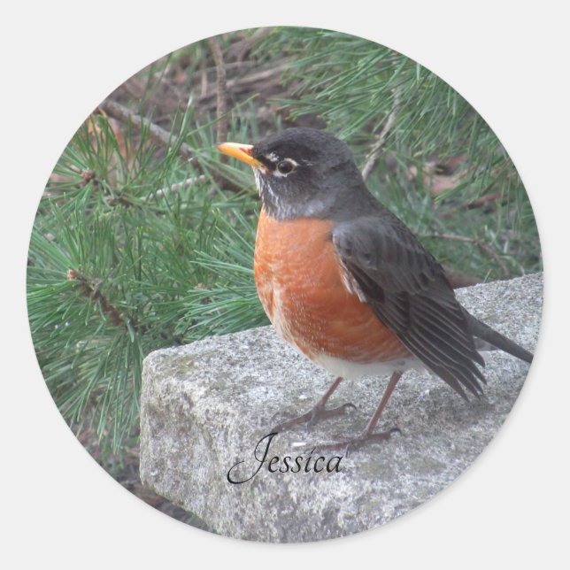 Robin Foto Personalisiert Name Runder Aufkleber (Vorderseite)