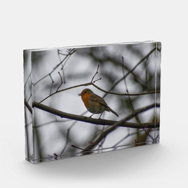 Robin  fotoblock (Links)