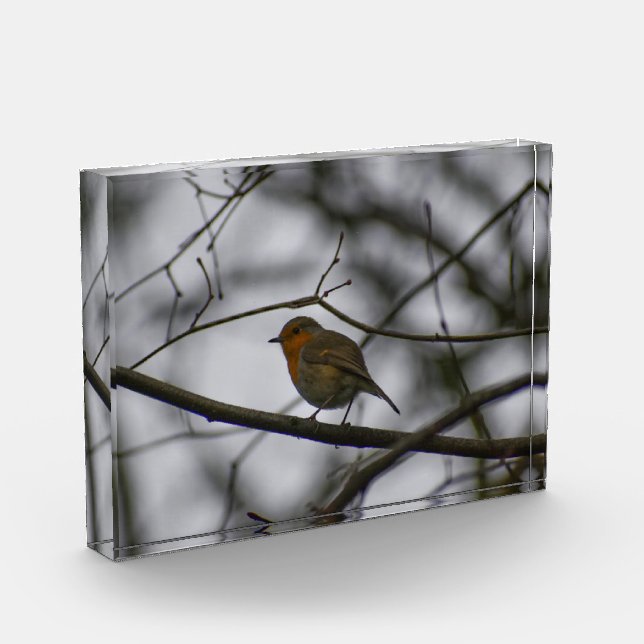 Robin  fotoblock (Links)