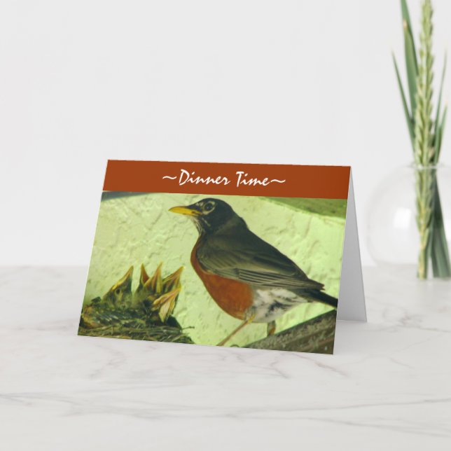 Robin Greeting Card Karte (Vorderseite)
