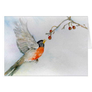 Robin im Flug