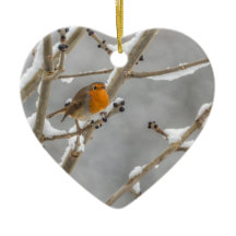 Robin im Schnee