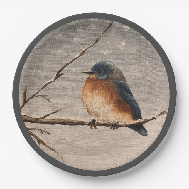 Robin im Schnee Pappteller (Vorderseite)