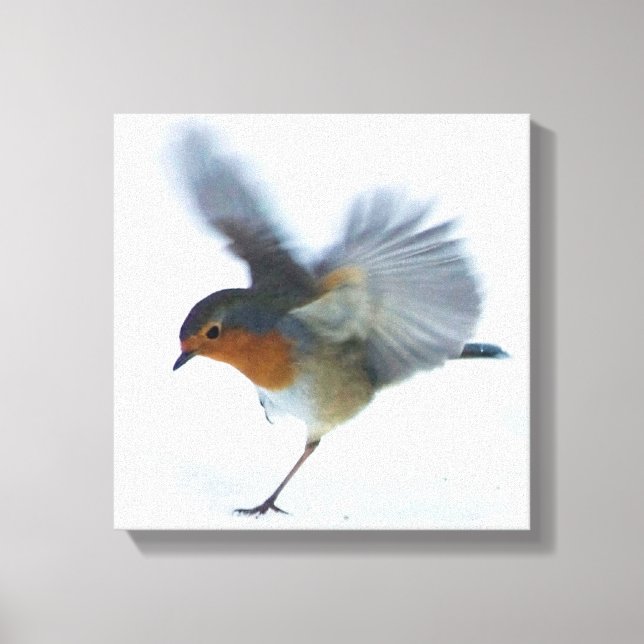 Robin in Flight Leinwanddruck (Vorderseite)