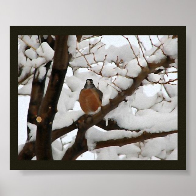 Robin in schwarz poster (Vorne)