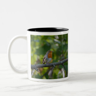 Robin in Spirale. Zweifarbige Tasse