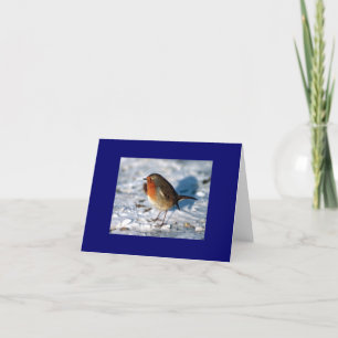 Robin in the Snow Note Cards Karte