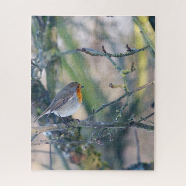 Robin in Tree (Vertikal)