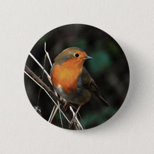 Robin ist ein glänzender Tag in der Kunst der Akro Button
