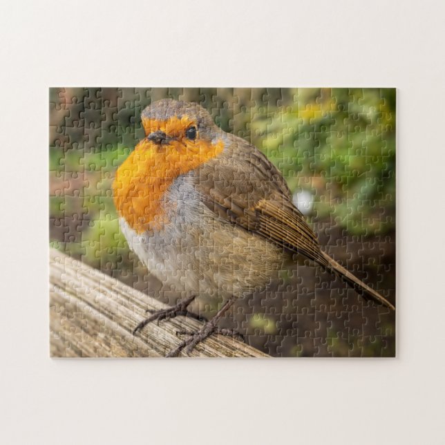 Robin Jigsaw Puzzle (Horizontal)