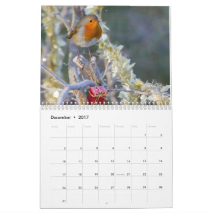 Robin-Kalender 2017 Kalender