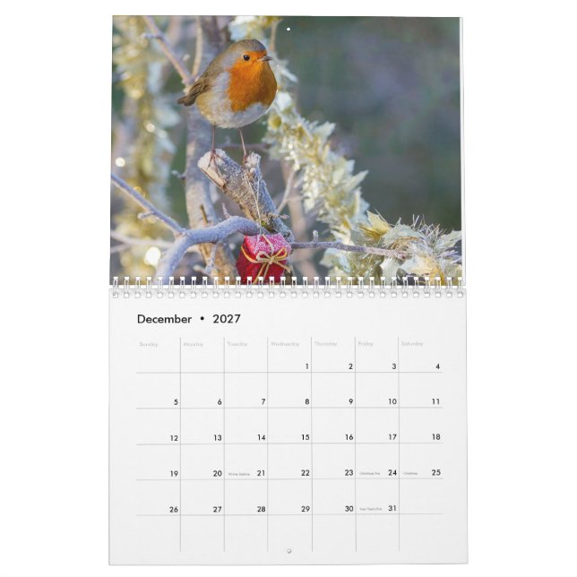 Robin-Kalender 2017 Kalender (Dez 2027)