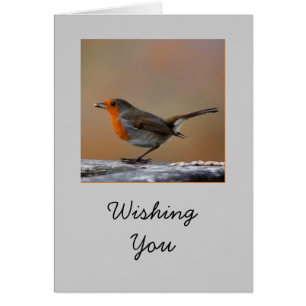 Robin-Karte