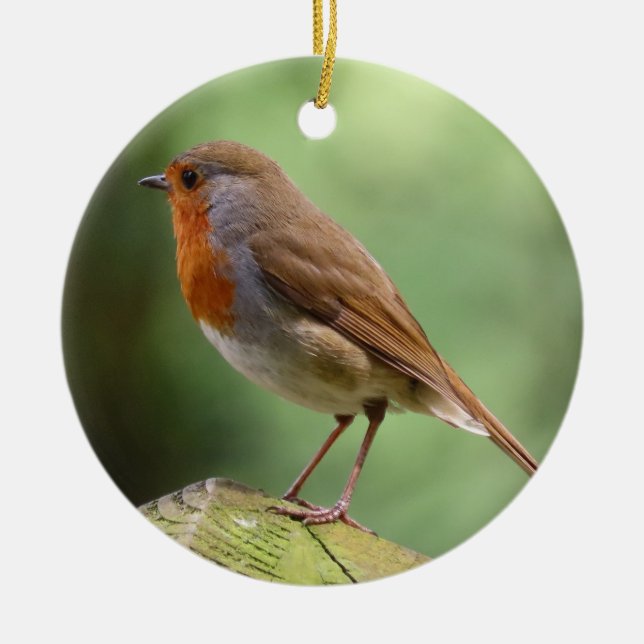 Robin Keramik Decoration Keramik Ornament (Vorne)