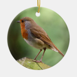 Robin Keramik Decoration Ornament