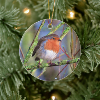 Robin Keramik Ornament