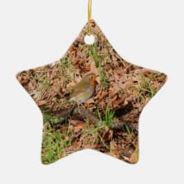 Robin Keramik Ornament